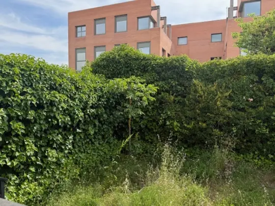 Adosado en Getafe, Sector 3 — imagen 19