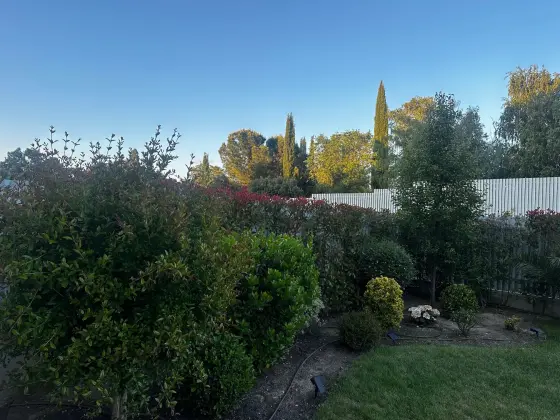 Bajo con jardín en Pozuelo — imagen 16