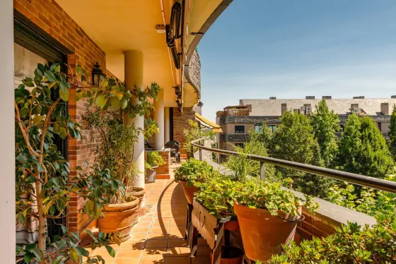 Dúplex ático en La Moraleja con gran terraza — imagen 38
