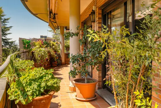 Dúplex ático en La Moraleja con gran terraza — imagen 41